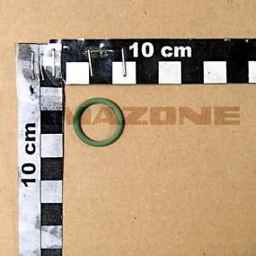 O-Ring 17,00X2,50 Amazone FC392