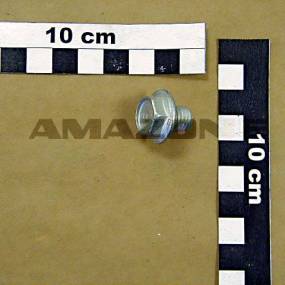 Schraube M10X12 Amazone Y0250706002