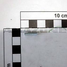 Gewindestift Iso 4027 4X16 45H Vz Amazone DA990