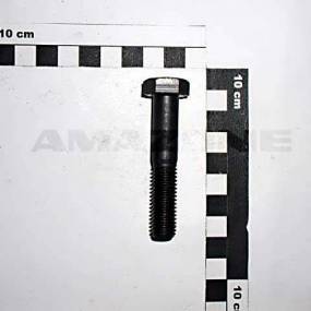 Sechskantschraube Iso 4014 12×65 8.8 Vz (Db374) Amazone