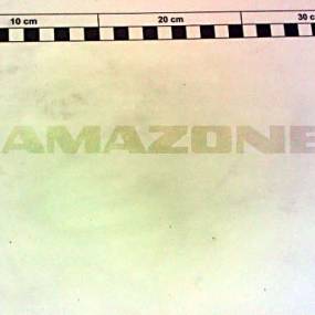 Spannstift Iso 8752 4X 20 St Amazone DI017