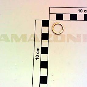 Dichtring Din 7603A 13X17X1,5 Cu Amazone FF054