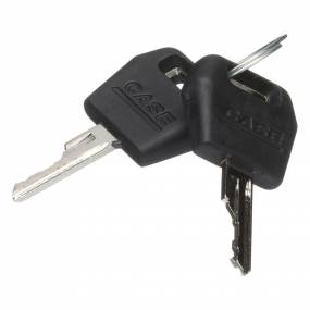 Zündschlüssel (1964831C2) Case