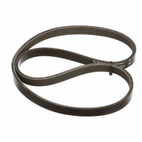 Riemen Case 87399981