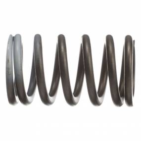 Ventilfeder Case 87666321