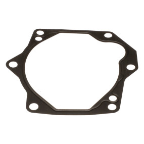 Dichtung, Flach (A47280) Case