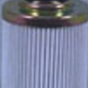 Hydraulikölfilter (Hf7919) Case