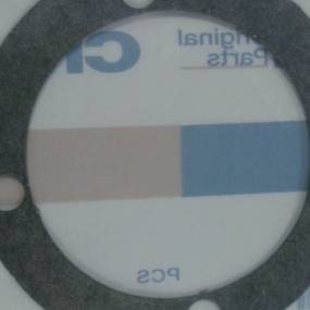 Dichtung, Flach (21839Dc) Case