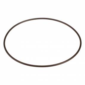 O-Ring Case 87016956