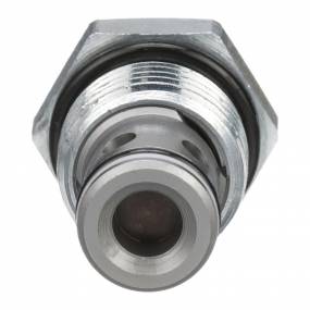 Rückschlagventil (87433998) Case