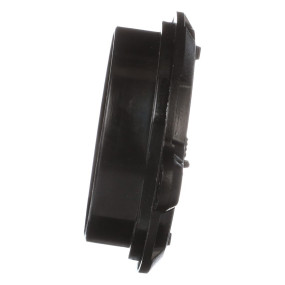 Ausstroemer Case 87574468