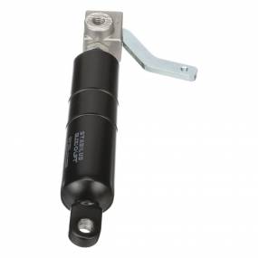 Gasdruckfeder Case 9972148