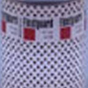 Kraftstofffilter (Ff102) Case