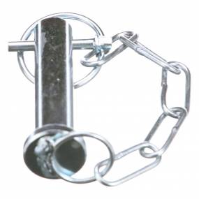 Bolzen Case 84311147