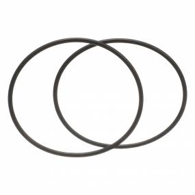 O-Ring Case 87421145
