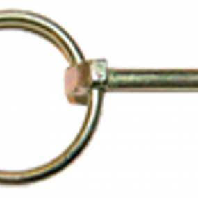 Bolzen (D33805) Case