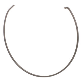 Ring Case SBA398215630