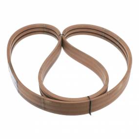 Riemen Case 194528C2