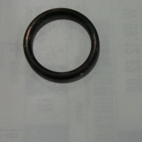 O-Ring Case 86503302