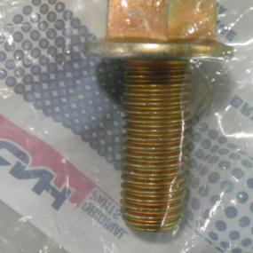 Schraube mit Flansch (86978772) Case