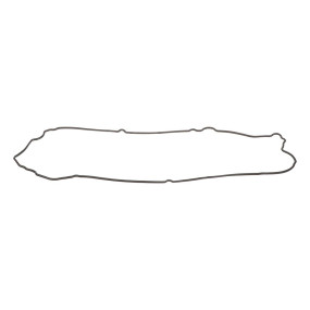 Dichtung, Flach (87345861) Case