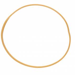 Dichtring Case 1286076C1