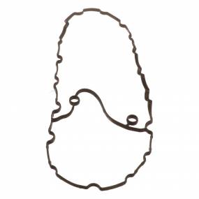 Dichtung, Flach (500382999) Case