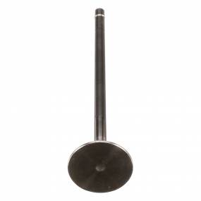 Auslassventil, Stand (504127799) Case