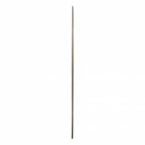 Kupplungstreibscheib Case