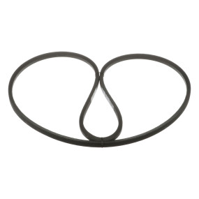 Riemen (617910R1) Case