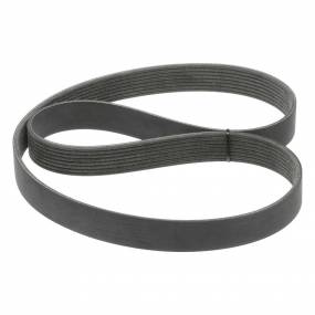 Riemen Case 84312027