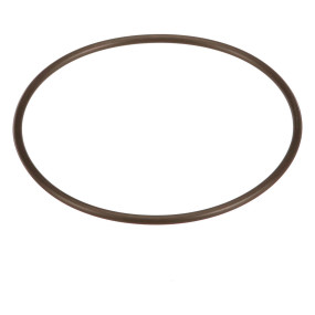 O-Ring Case 87706938