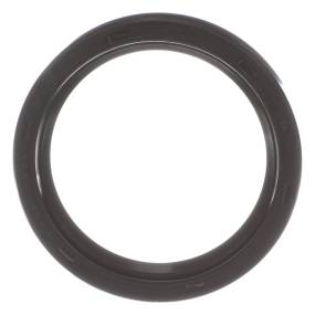 Öldichtung (3071148R91) Case