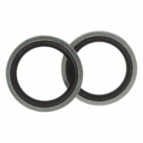 Dichtring Case 340493A2