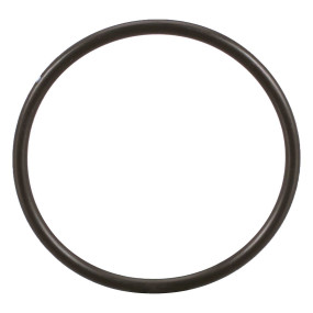 O-Ring (86637769) Case