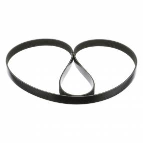 Riemen Case 87309962