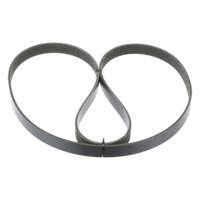 Riemen Case 87531428