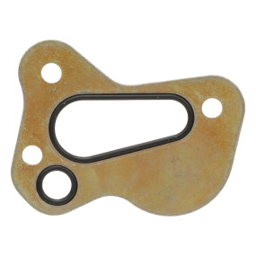 Dichtung, Flach Case 303709A1