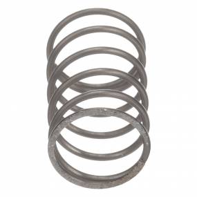 Feder Case 5152145