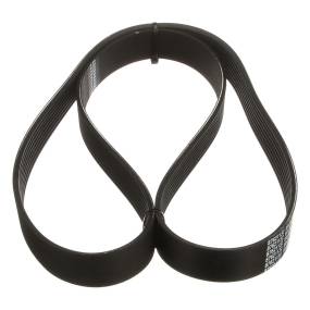 Riemen Case 87621132