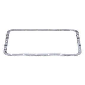 Dichtung, Flach Case 98427452