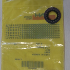 Dichtung Case 138260C1
