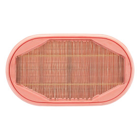 Luftfilter Case 73337833