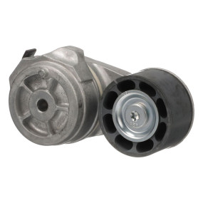 Riemenspanner (86013886) Case