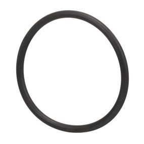 O-Ring (A52113) Case