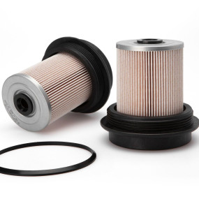 Kraftstofffilter (Fs1298) Case