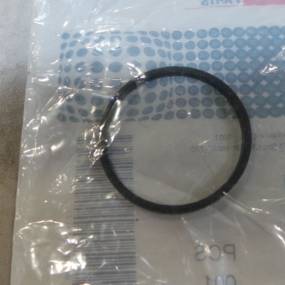 Dichtung (J915772) Case