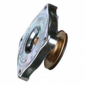 Kühlerverschlussdeck (83935905) Case