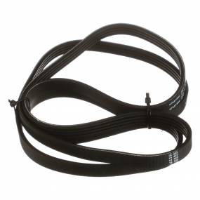 Riemen Case 87681594