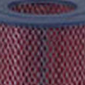 Luftfilter (Af4509) Case